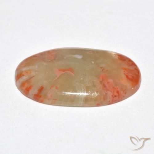 Coral Gemstone in 19.4 x 12.7 mm Size for Sale, Coral Stone in Multicolor Color