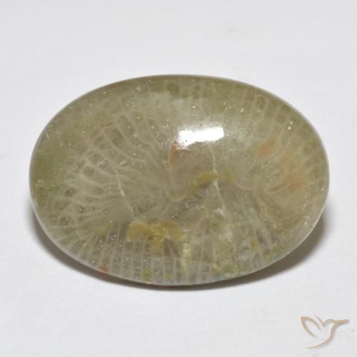 7.96 ct Multicolor Coral Stone, Natural Coral in Oval Cabochon Shape for Sale