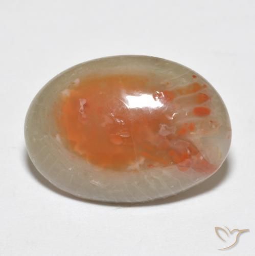 7.46 ct Multicolor Coral Stone, Natural Coral in Oval Cabochon Shape for Sale