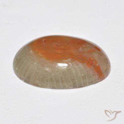 Coral Gemstone in 17.2 x 12.2 mm Size for Sale, Coral Stone in Multicolor Color