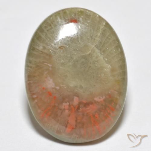 10.63 ct Oval Coral, 20.1 x 15.3 mm From Indonesia, Photo A