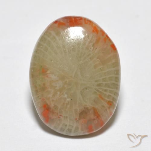 5.78 ct Multicolor Coral Gemstone, Coral Gem in Oval Cabochon Shape for Sale.