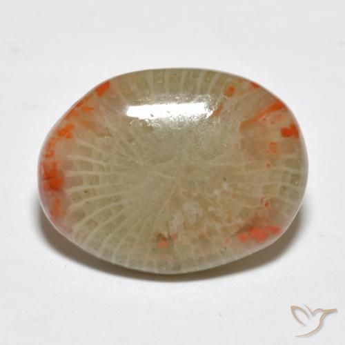 5.78 ct Multicolor Coral Stone, Natural Coral in Oval Cabochon Shape for Sale