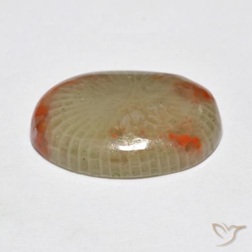Coral Gemstone in 16 x 12 mm (calibrated) Size for Sale, Coral Stone in Multicolor Color