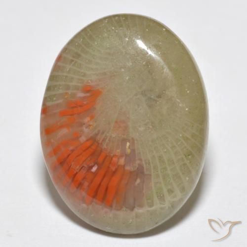 10.77 ct Oval Coral, 20 x 15.4 mm From Indonesia, Photo A