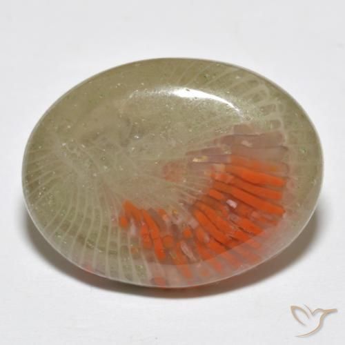 10.77 ct Multicolor Coral Stone, Natural Coral in Oval Cabochon Shape for Sale