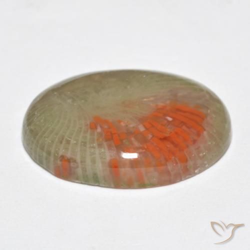 Coral Gemstone in 20 x 15 mm (calibrated) Size for Sale, Coral Stone in Multicolor Color
