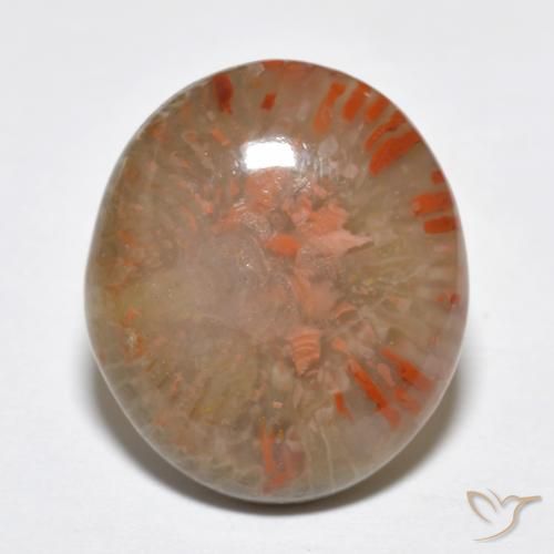 9.15ct Natural Multicolor Coral, Oval, Translucent