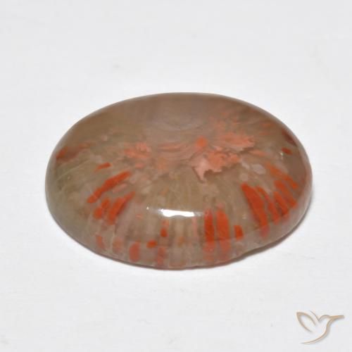 Coral Gemstone in 16.5 x 14.3 mm Size for Sale, Coral Stone in Multicolor Color