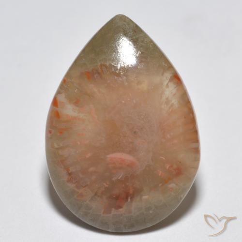 6.81 ct Multicolor Coral Gemstone, Coral Gem in Pear Cabochon Shape for Sale.