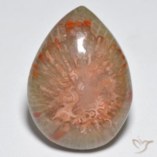 11.49 ct Multicolor Coral Gemstone, Coral Gem in Pear Cabochon Shape for Sale.