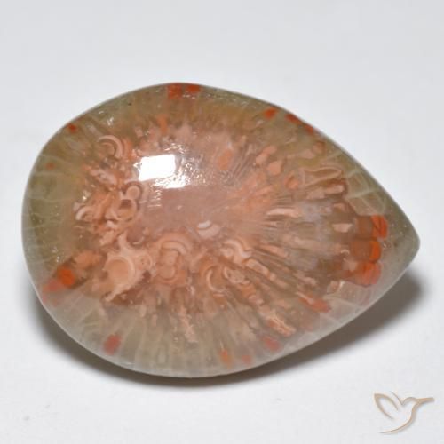 11.49 ct Multicolor Coral Stone, Natural Coral in Pear Cabochon Shape for Sale