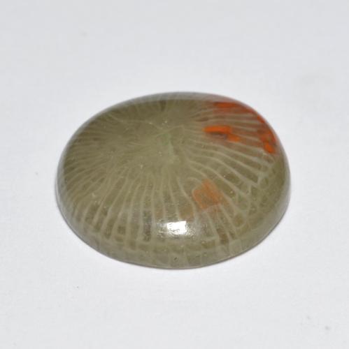 Coral Gemstone in 13 mm (calibrated) Size for Sale, Coral Stone in Multicolor Color