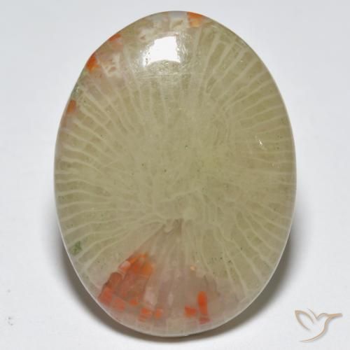12.56ct Natural Multicolor Coral, Oval, Translucent, Photo A