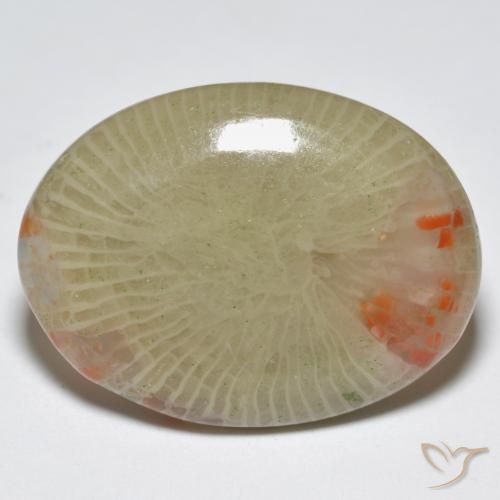 12.56 ct Multicolor Coral Stone, Natural Coral in Oval Cabochon Shape for Sale