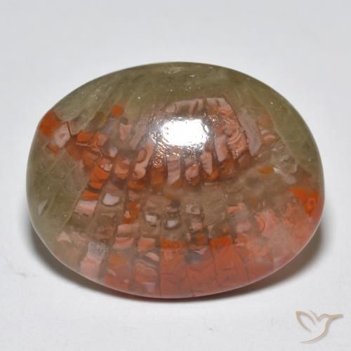 10.87 ct Multicolor Coral Stone, Natural Coral in Oval Cabochon Shape for Sale