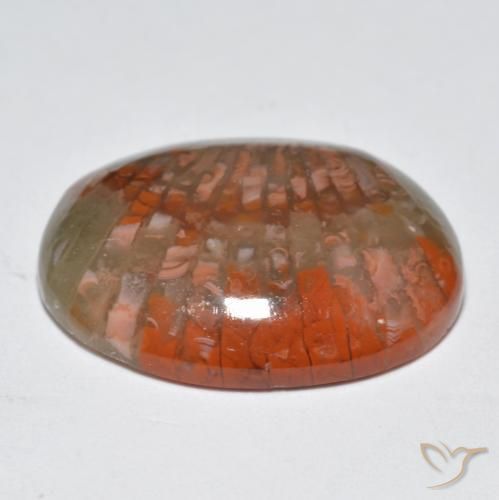 Coral Gemstone in 19.2 x 15.2 mm Size for Sale, Coral Stone in Multicolor Color