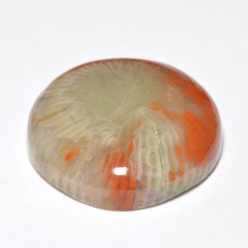 Coral Gemstone in 16.1 mm Size for Sale, Coral Stone in Multicolor Color