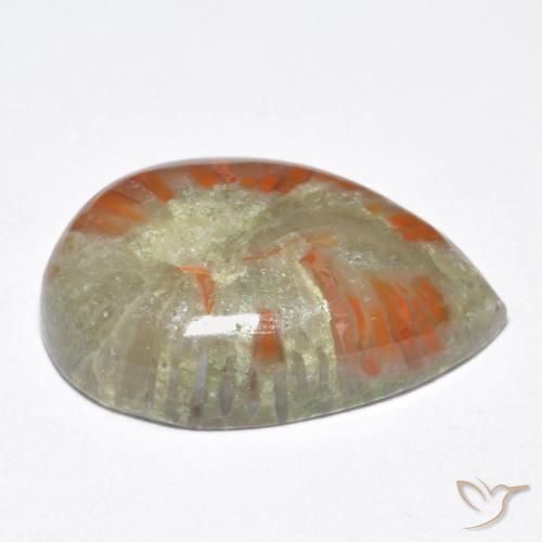 Coral Gemstone in 16.6 x 11.2 mm Size for Sale, Coral Stone in Multicolor Color