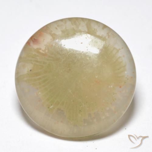 10.55 ct Round Coral, 17 mm From Indonesia, Photo A