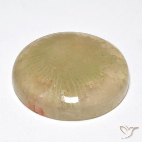 Coral Gemstone in 17 mm (calibrated) Size for Sale, Coral Stone in Multicolor Color