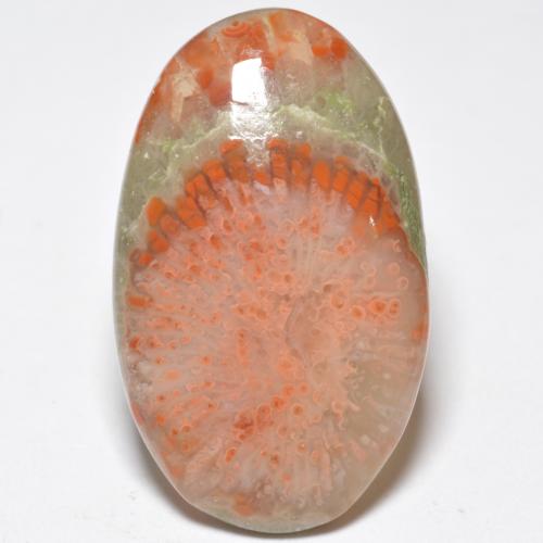 11.38 ct Multicolor Coral Gemstone, Coral Gem in Oval Cabochon Shape for Sale.