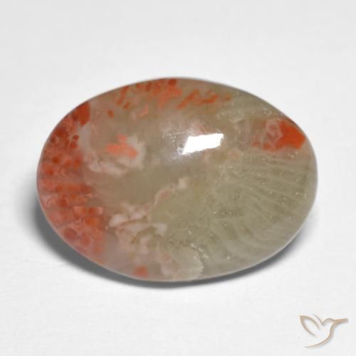 5.88 ct Multicolor Coral Stone, Natural Coral in Oval Cabochon Shape for Sale