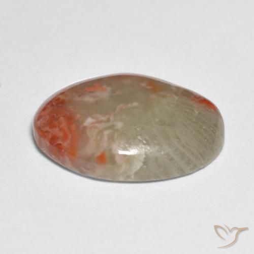Coral Gemstone in 15.6 x 11.5 mm Size for Sale, Coral Stone in Multicolor Color