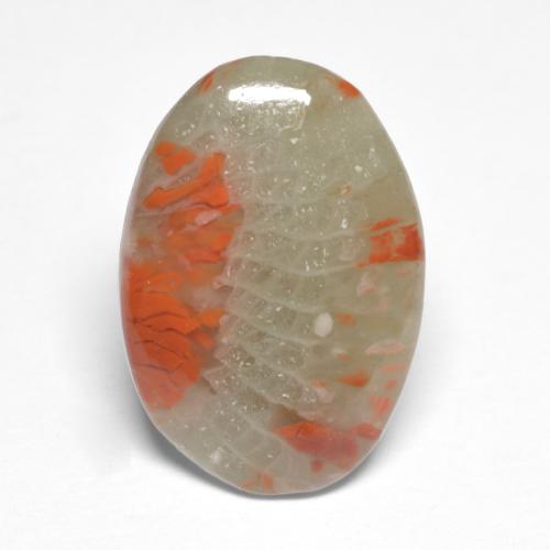 5.03 ct Multicolor Coral Gemstone, Coral Gem in Oval Cabochon Shape for Sale.