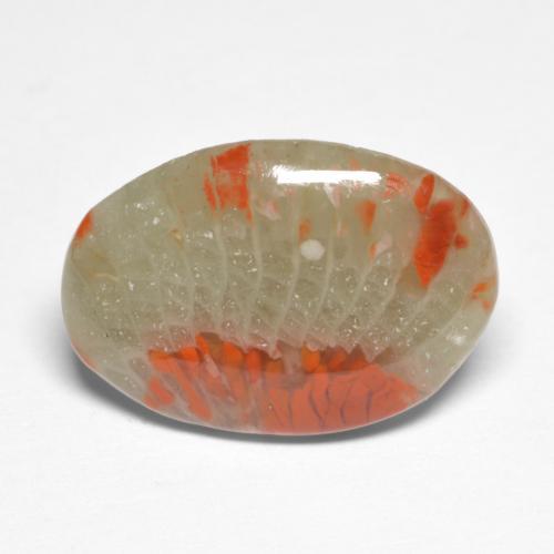 5.03 ct Multicolor Coral Stone, Natural Coral in Oval Cabochon Shape for Sale