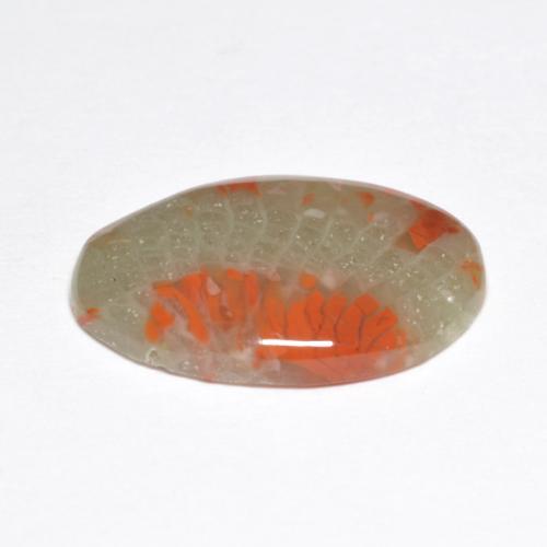 Coral Gemstone in 17.4 x 12 mm Size for Sale, Coral Stone in Multicolor Color
