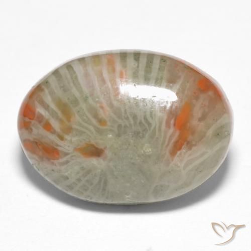 6.74 ct Multicolor Coral Stone, Natural Coral in Oval Cabochon Shape for Sale