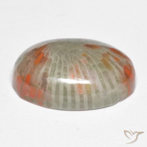 Coral Gemstone in 15.2 x 10.9 mm Size for Sale, Coral Stone in Multicolor Color