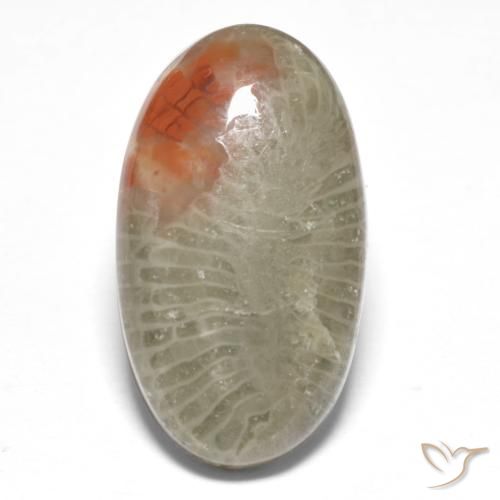 8.25ct Natural Multicolor Coral, Oval, Translucent