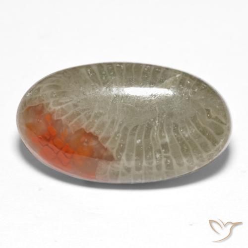 8.25 ct Multicolor Coral Stone, Natural Coral in Oval Cabochon Shape for Sale