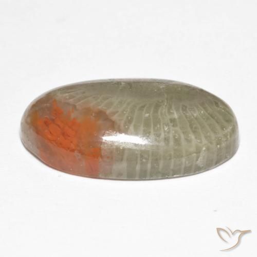 Coral Gemstone in 19.4 x 10.9 mm Size for Sale, Coral Stone in Multicolor Color