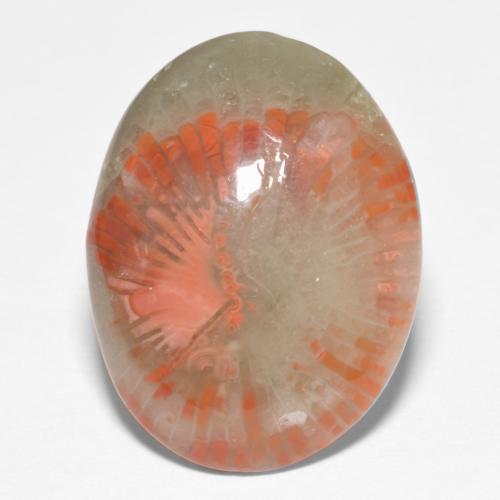 Multicolor Coral Gem - 8.8ct Oval Cabochon (ID: 552570)