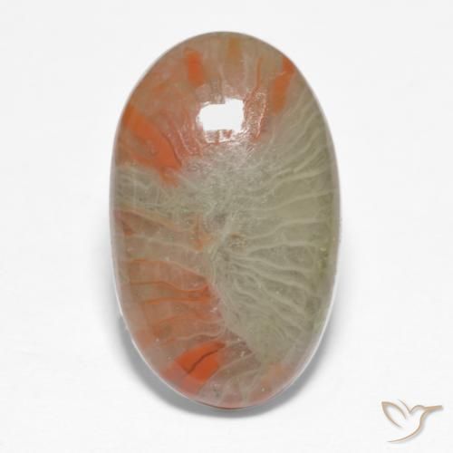 5.68ct Natural Multicolor Coral, Oval, Translucent