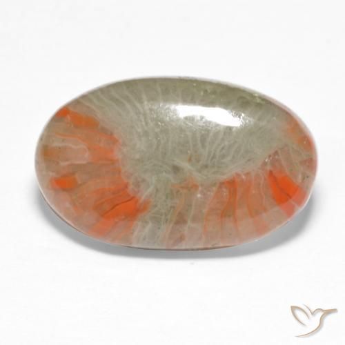 5.68 ct Multicolor Coral Stone, Natural Coral in Oval Cabochon Shape for Sale