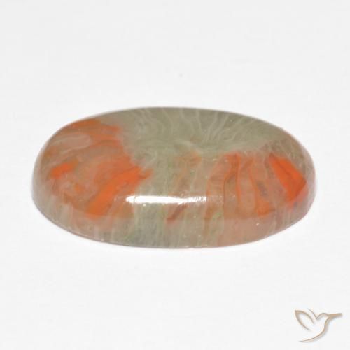 Coral Gemstone in 16.6 x 10.2 mm Size for Sale, Coral Stone in Multicolor Color