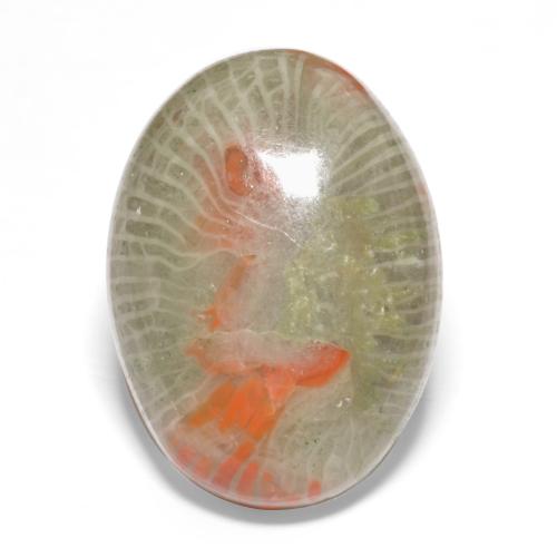 Mehrfarbig Koralle Edelstein - 9.2ct Oval Cabochon (ID: 552572)