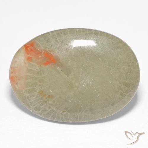 15.23 ct Multicolor Coral Stone, Natural Coral in Oval Cabochon Shape for Sale