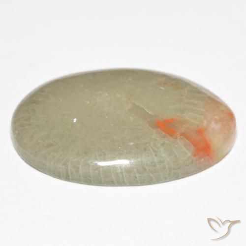 Coral Gemstone in 25 x 18 mm (calibrated) Size for Sale, Coral Stone in Multicolor Color