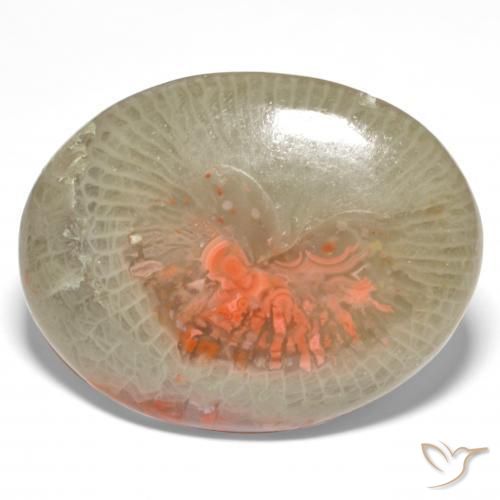 18.98 ct Multicolor Coral Stone, Natural Coral in Oval Cabochon Shape for Sale