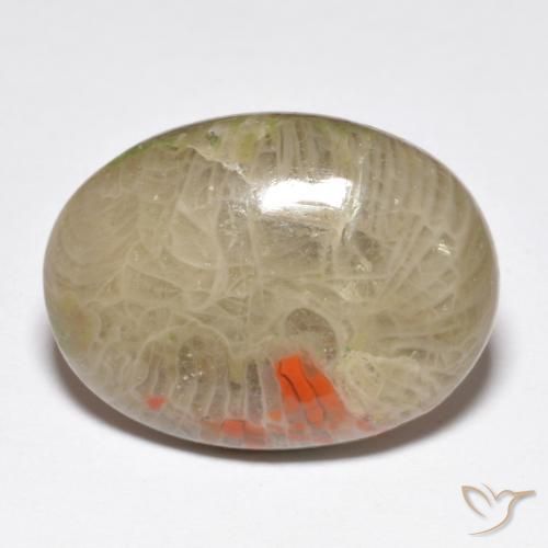 10.40 ct Multicolor Coral Stone, Natural Coral in Oval Cabochon Shape for Sale