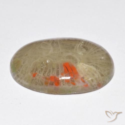 Coral Gemstone in 20 x 15 mm (calibrated) Size for Sale, Coral Stone in Multicolor Color