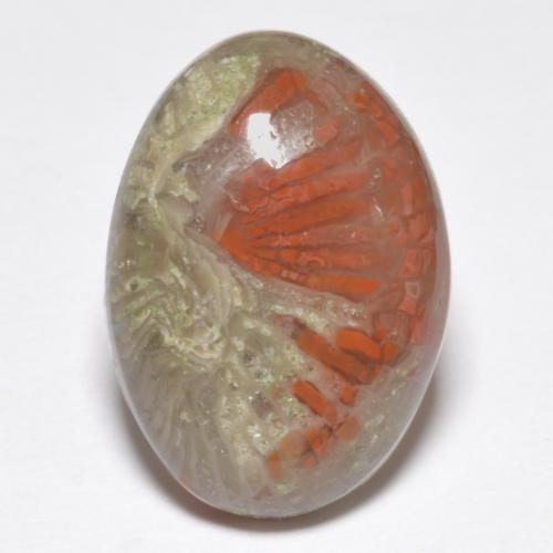 Многоцветный Коралл Камень - 9.1ct Овал Кабошон (ID: 552613)