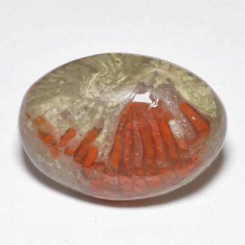 9.07 ct Multicolor Coral Stone, Natural Coral in Oval Cabochon Shape for Sale