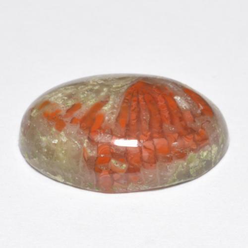Coral Gemstone in 17.5 x 12.4 mm Size for Sale, Coral Stone in Multicolor Color