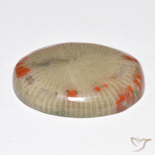 Coral Gemstone in 22.3 x 16.7 mm Size for Sale, Coral Stone in Multicolor Color